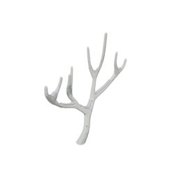 Birch Tree Dead Snow 4